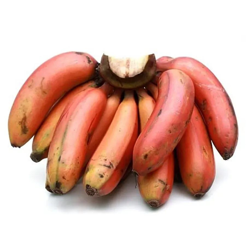 Banana Red (Box) (Approx 800 g - 1000 g)